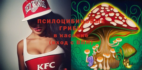 первитин Осташков