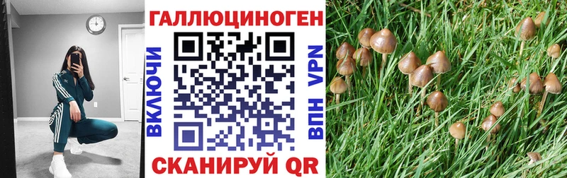 цена наркотик  Нижний Ломов  Галлюциногенные грибы Magic Shrooms 